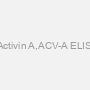 Rat Activin A,ACV-A ELISA kit